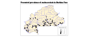 BURKINA FASO - Before Treatment