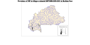 BURKINA FASO - After Treatment